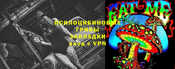 бошки Тихвин