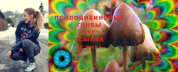 бошки Тихвин