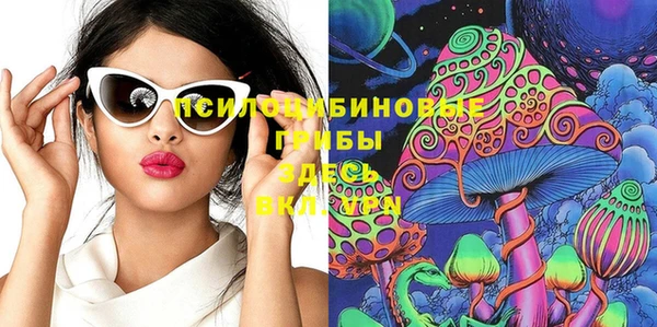 бошки Тихвин