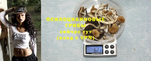 бошки Тихвин
